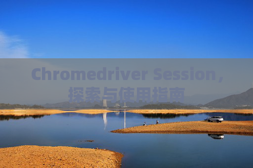 Chromedriver Session，探索与使用指南